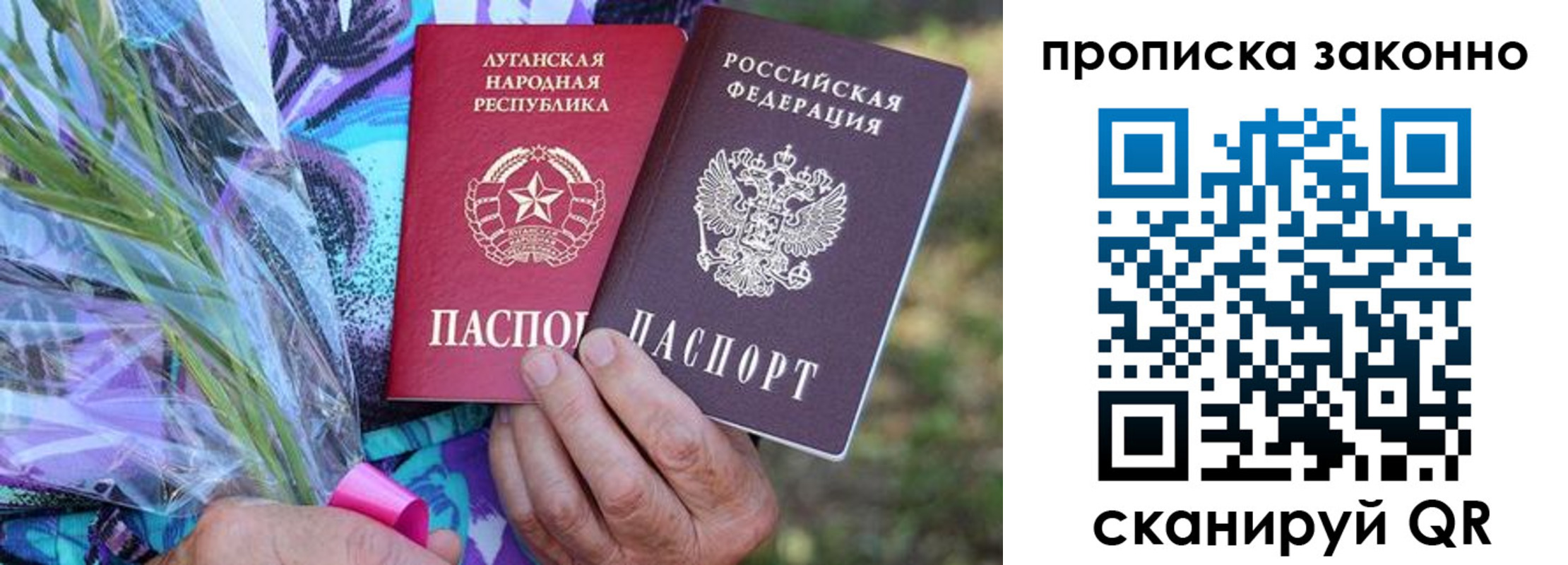 прописка для школы в Плавске